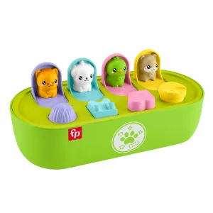 Fisher-Price JDL66