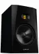 Adam Audio T8V