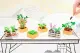 MGA Entertainment Miniverse Make It Mini Nature Series 2 in PDQ #12