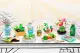 MGA Entertainment Miniverse Make It Mini Nature Series 2 in PDQ #11