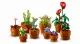 LEGO Botanicals Tiny Plants #3