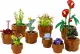 LEGO Botanicals Tiny Plants #2