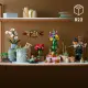 LEGO Botanicals Tiny Plants #6