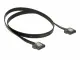 DeLOCK 0.5m SATA III #2