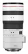 Canon RF 70-200mm F2.8L IS USM Z #8