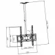 ART RAMT AR-21L