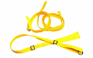 Absima 2320083