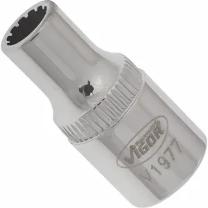Vigor V1977