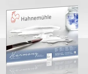 Hahnemühle 10628840
