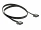 DeLOCK 0.5m SATA III #2