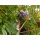 Black & Decker BEHTS401-QS #6
