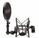 RØDE SM6