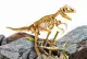 Lisciani I'm a genius super kit T-Rex #4