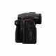 Panasonic Lumix G9 II + Lumix 12-60mm F3.5-5.6 #9