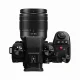 Panasonic Lumix G9 II + Lumix 12-60mm F3.5-5.6 #2