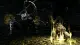 BANDAI NAMCO Entertainment Dark Souls Trilogy, PS4 #7