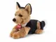 Trudi 22323