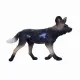 Mojo Fun African Hunting Dog #4