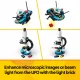 LEGO Creator 31378 #10
