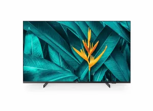 Philips 55HFL5214U