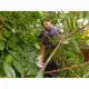 Black & Decker BEHTS401-QS #6
