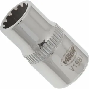 Vigor V1981