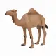 Mojo Fun Arabian Camel #2