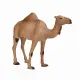 Mojo Fun Arabian Camel #3