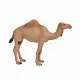 Mojo Fun Arabian Camel #4