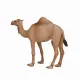 Mojo Fun Arabian Camel #5