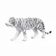 Mojo Fun White Tiger #4