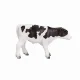 Mojo Fun Holstein Calf standing #4