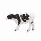 Mojo Fun Holstein Calf standing