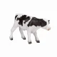 Mojo Fun Holstein Calf standing #3