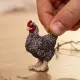 schleich FARM WORLD 13997 #2