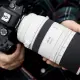 Canon RF 100-500mm F4.5-7.1L IS USM #7