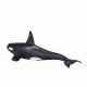 Mojo Fun Male Orca #2