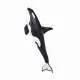 Mojo Fun Male Orca #4