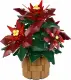 LEGO Botanicals Poinsettia #2