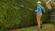 Bosch UniversalHedgePole 18 #5