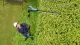 Bosch UniversalHedgePole 18 #4