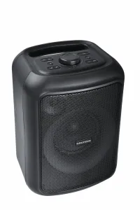 Grundig Party Hit