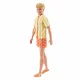 Barbie Fashionistas JJN66