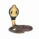 Mojo Fun King Cobra #2
