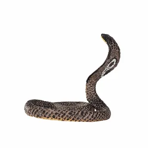 Mojo Fun King Cobra