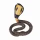 Mojo Fun King Cobra #6