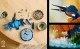 LEGO ICONS Kingfisher Bird #12