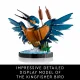 LEGO ICONS Kingfisher Bird #14