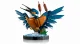 LEGO ICONS Kingfisher Bird #6