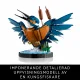 LEGO ICONS Kingfisher Bird #3